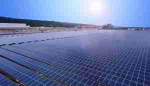 中美硅晶与彩神vll光电携手战略合作